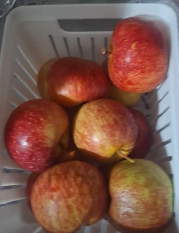 Avaliação de cliente dos organizadores de geladeira 5