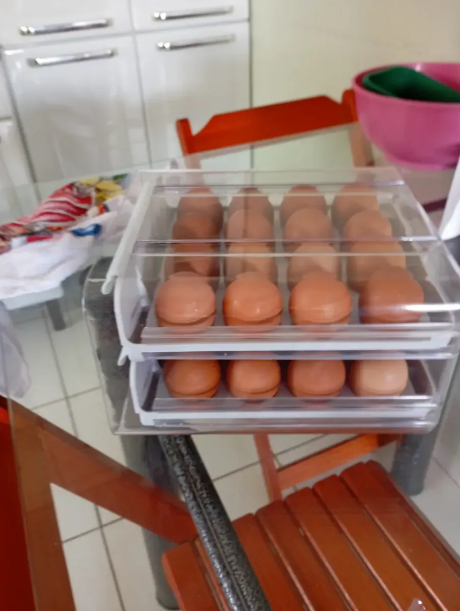 Organizador de ovos na geladeira 4