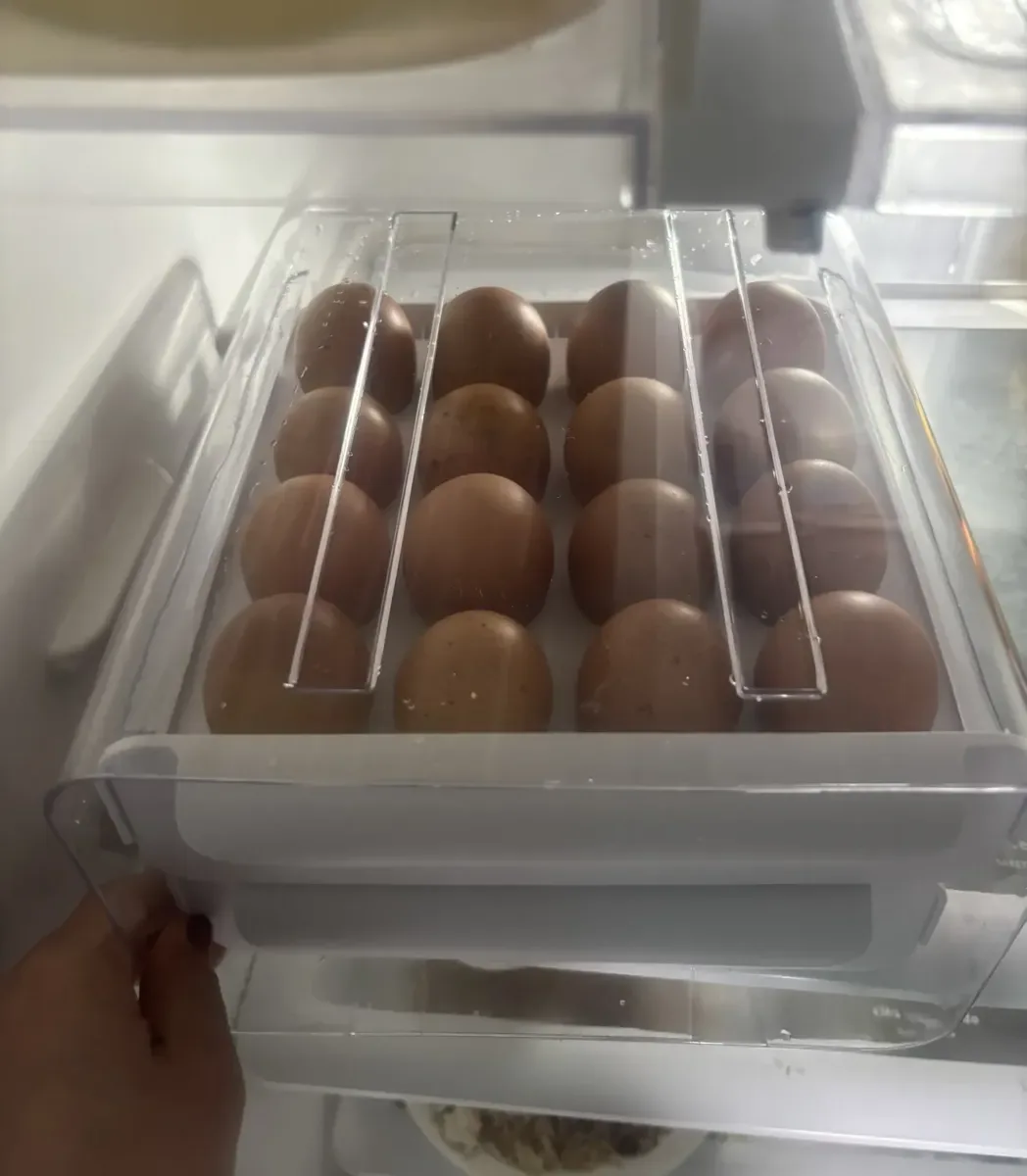 Organizador de ovos na geladeira 6